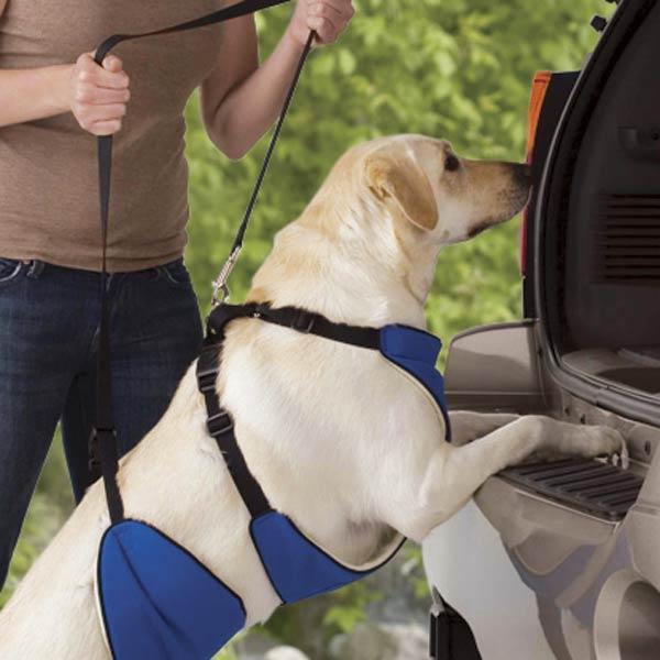 Lift N' Lead Dog Harness