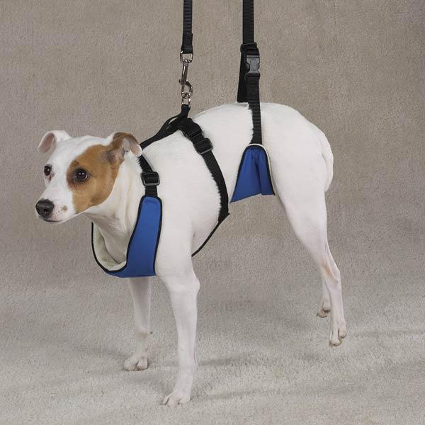 Lift N' Lead Dog Harness