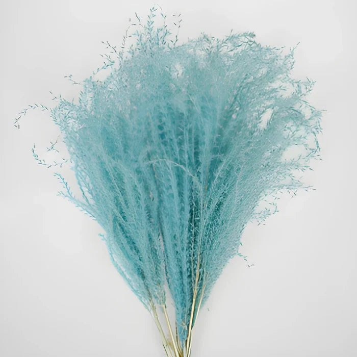 Light Blue Dried Eulalia Grass