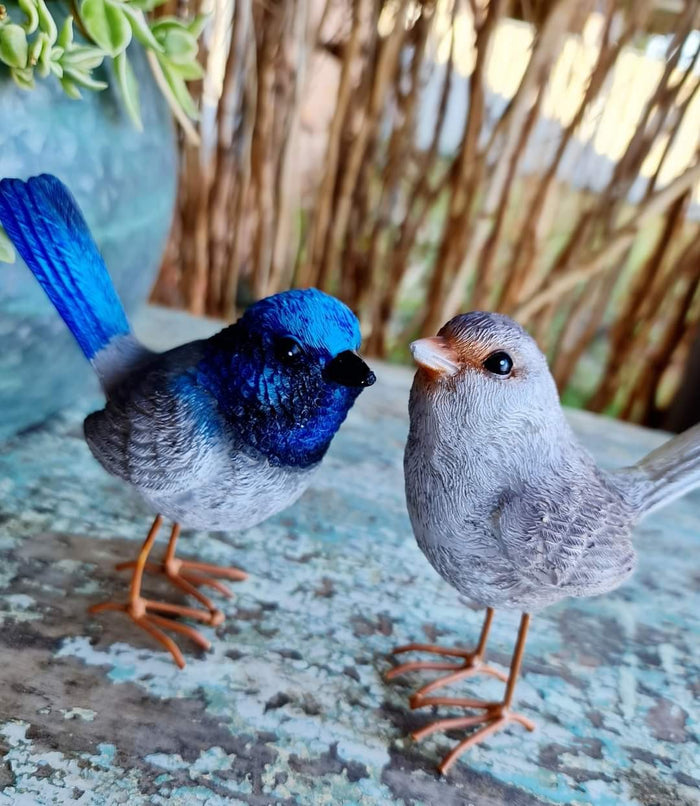LITTLE RESIN FAIRY WREN COUPLE - MALE & FEMALE