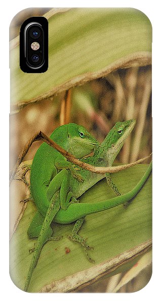IPhone X Case