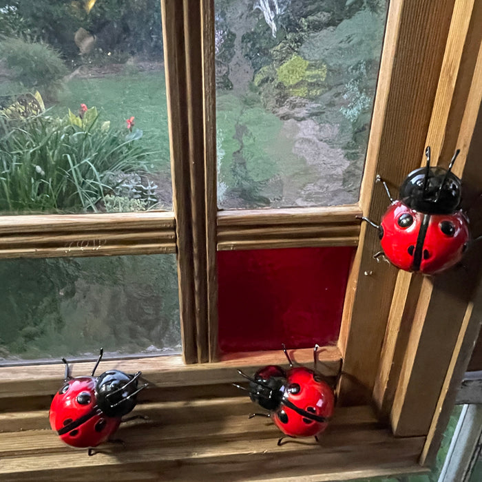LOVELY LADY BEETLE - SMALL