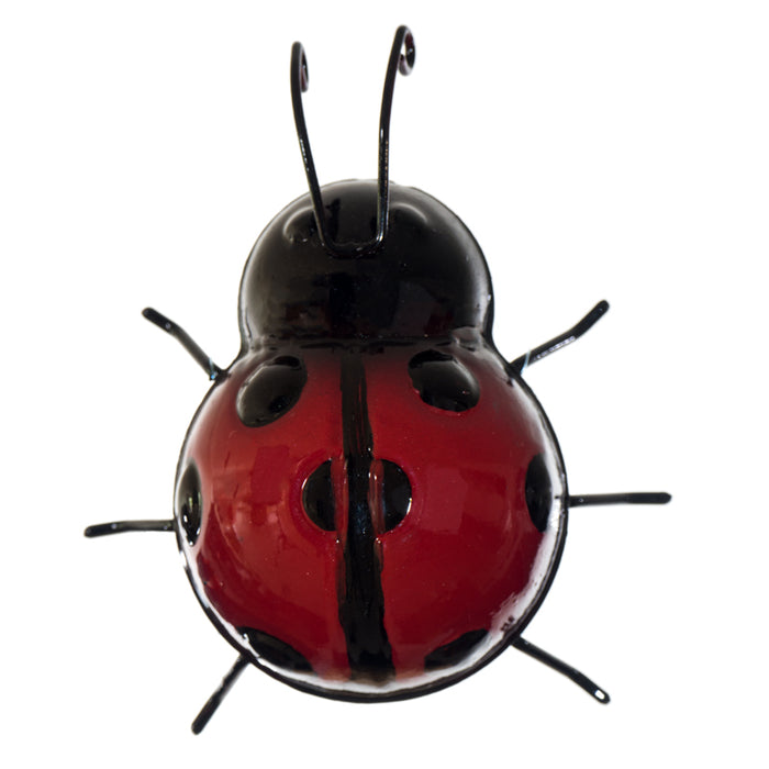 LOVELY LADY BEETLE - SMALL