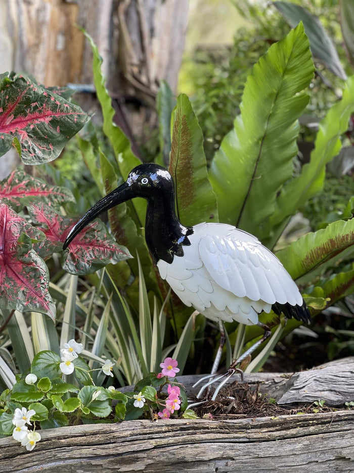 METAL IBIS BIRD ( AKA BIN CHICKEN )