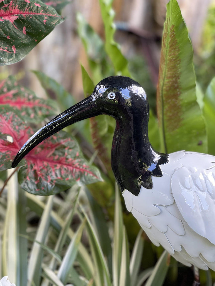 METAL IBIS BIRD ( AKA BIN CHICKEN )