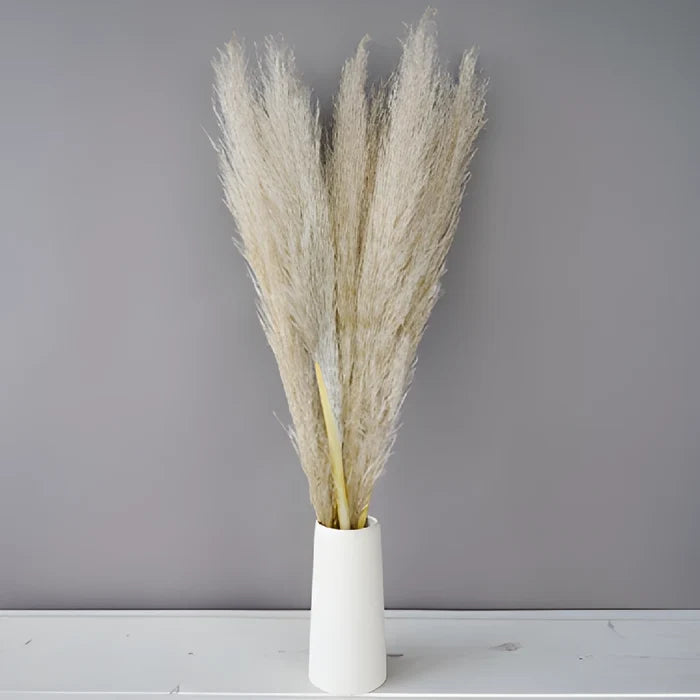 Natural Boho Dried Pampas Grass