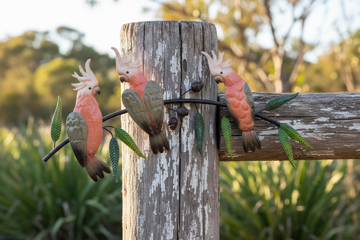 PINK GALAH TRIO ON GUMTREE BRANCH