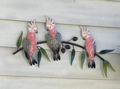 PINK GALAH TRIO ON GUMTREE BRANCH