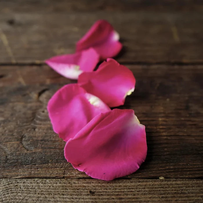 Purple Real Rose Petals
