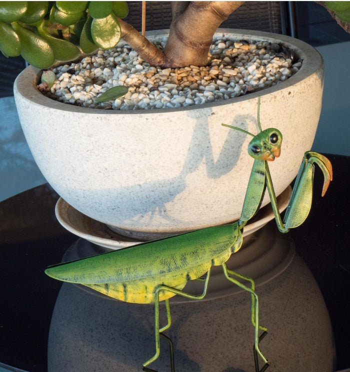 PRAYING MANTIS