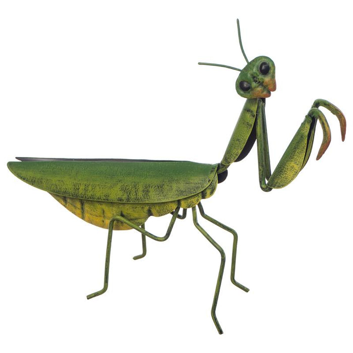 PRAYING MANTIS