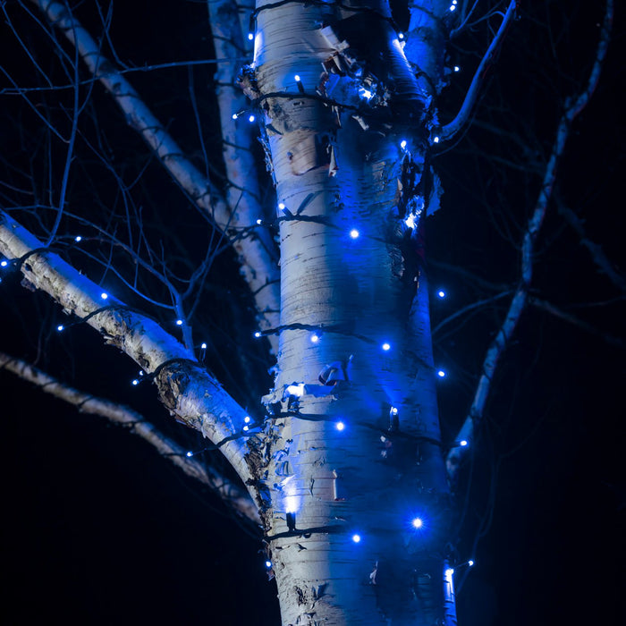 5m 50 Blue LED Connectable String Lights Black Cable Pro Series