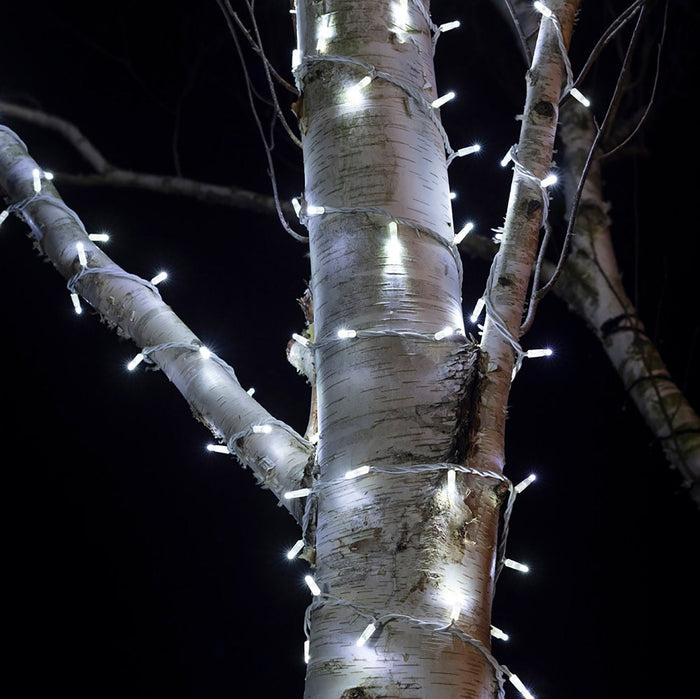 PR50WW_White-LED-Outdoor-Christmas-Lights-String-Lights-Tree-Close_bc8a72b1-8bf7-4aef-9548-bcc33a1d7780.jpg