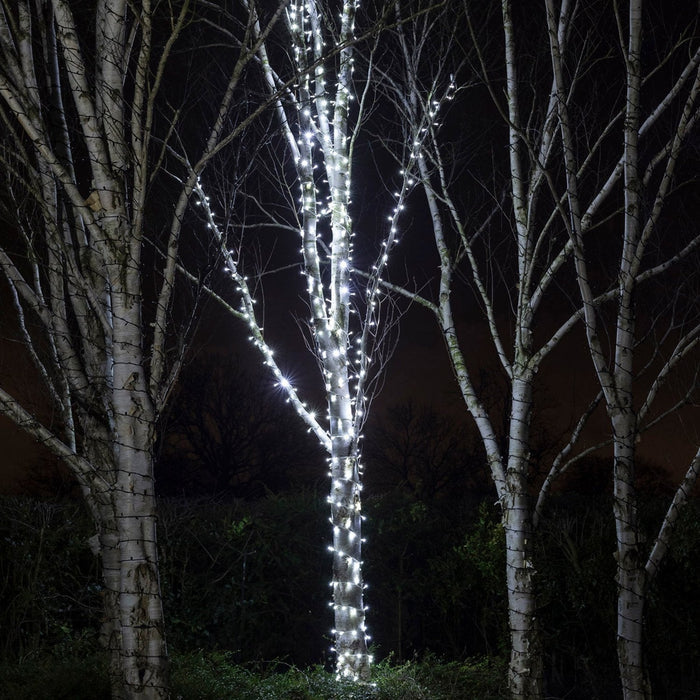 PR50WW_White-LED-Outdoor-Christmas-Lights-String-Lights-Tree_b056f924-8e0a-40b3-b032-b86d7f639ebf.jpg