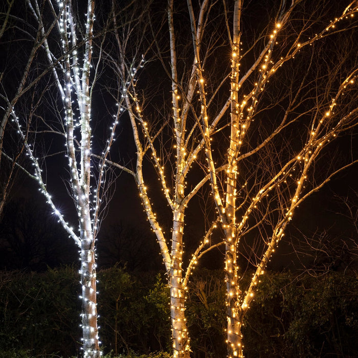PR50WW_White-LED-Outdoor-Christmas-Lights-String-Lights-Tree-Group_65a73b2a-bbc5-44ba-a9b6-3db36299b85e.jpg