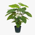 REAL TOUCH - 66CM ARTIFICIAL TARO PLANT IN POT