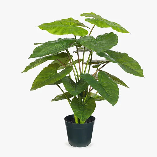 REAL TOUCH - 66CM ARTIFICIAL TARO PLANT IN POT