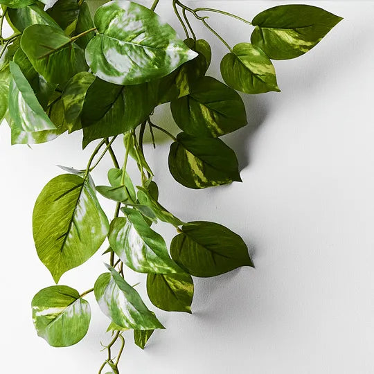 REAL TOUCH - 70CM ARTIFICIAL POTHOS HANGING BUSH PLANT IN POT - VARIGATED