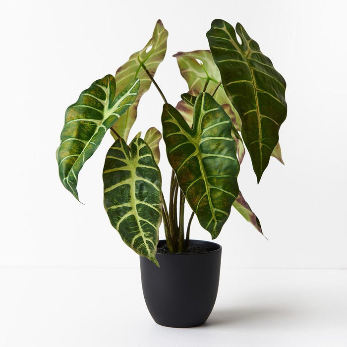 REAL TOUCH - ALOCASIA ARTIFICIAL PLANT IN POT - DARK GREEN