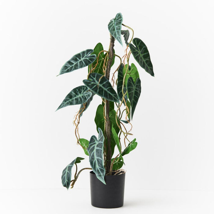 REAL TOUCH - ALOCASIA VINE ARTIFICIAL PLANT IN POT