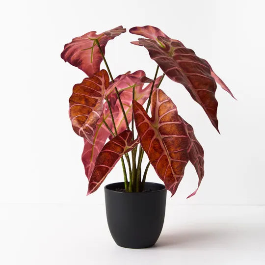 REAL TOUCH - ARTIFICIAL ALOCASIA PLANT IN POT 43CM - BURGUNDY