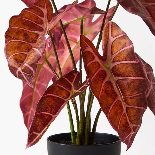 REAL TOUCH - ARTIFICIAL ALOCASIA PLANT IN POT 43CM - BURGUNDY