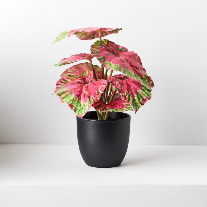 REAL TOUCH - ARTIFICIAL BEGONIA PLANT IN POT - RED & GREEN