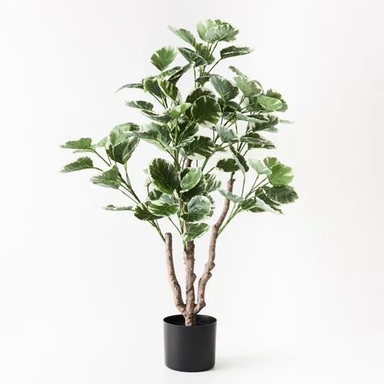 REAL TOUCH - ARTIFICIAL PEPERMOIDES PLANT IN POT - VARIGATED