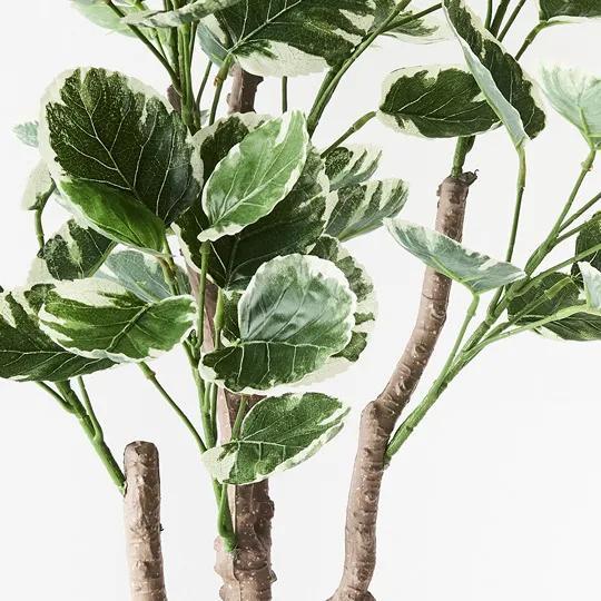 REAL TOUCH - ARTIFICIAL PEPERMOIDES PLANT IN POT - VARIGATED