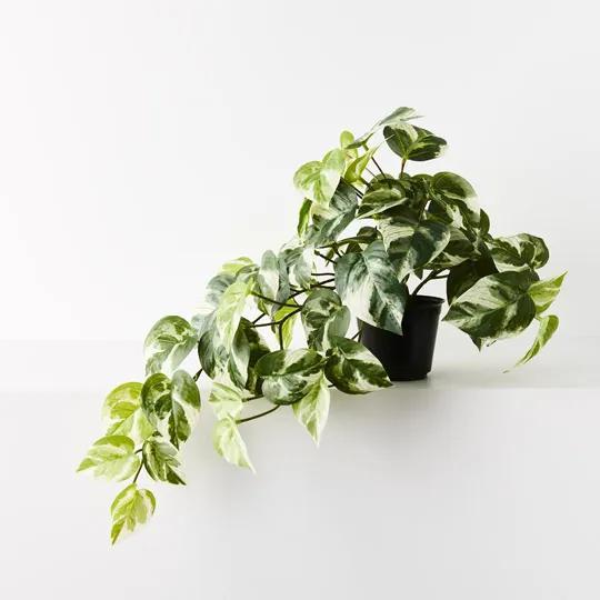 REAL TOUCH - ARTIFICIAL POTHOS HANGING BUSH PLANT IN POT - VARIGATED