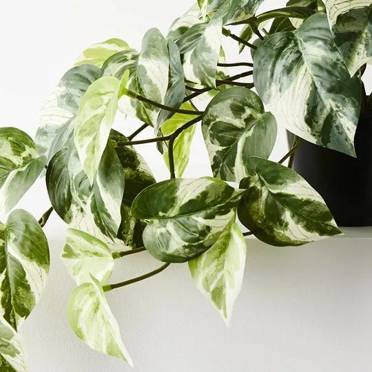 REAL TOUCH - ARTIFICIAL POTHOS HANGING BUSH PLANT IN POT