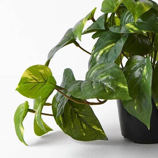 REAL TOUCH - ARTIFICIAL POTHOS VARIGATED PLANT IN POT 19CM
