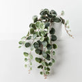 REAL TOUCH - ARTIFICIAL STRING OF HEARTS PLANT IN WHITE POT