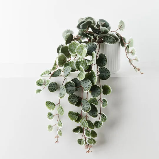 REAL TOUCH - ARTIFICIAL STRING OF HEARTS PLANT IN WHITE POT