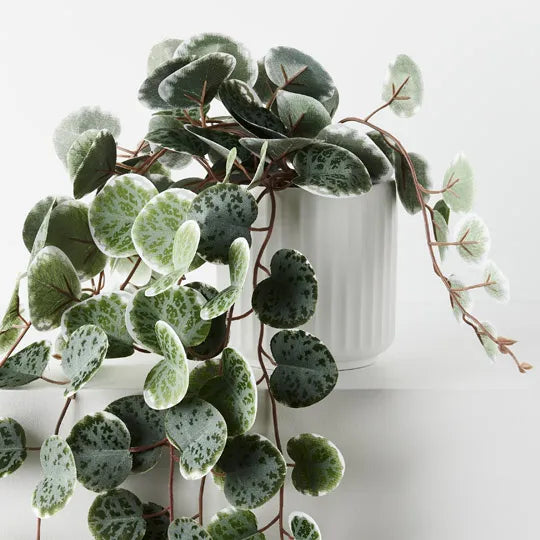 REAL TOUCH - ARTIFICIAL STRING OF HEARTS PLANT IN WHITE POT