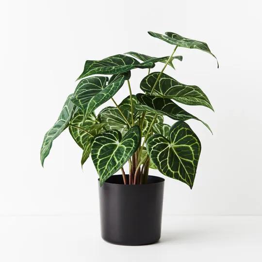 REAL TOUCH - ARTIFICIAL SYNGONIUM BATIK PLANT IN POT
