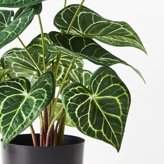 REAL TOUCH - ARTIFICIAL SYNGONIUM BATIK PLANT IN POT