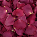 Lovely Dried Rose Petals