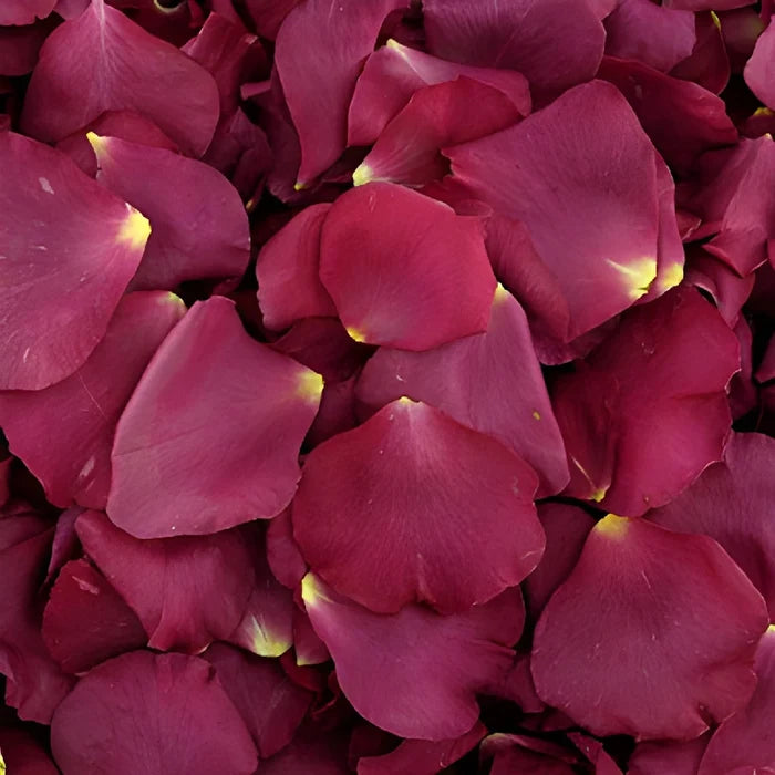 Lovely Dried Rose Petals