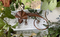 RUSTIC FRILLED NECK LIZARD
