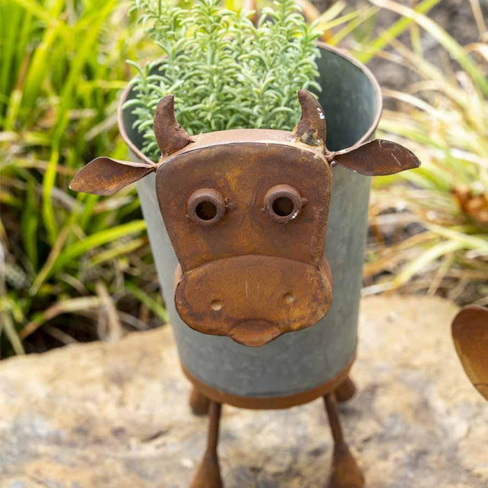 RUSTY & GALVANIZED MOO COW PLANTER