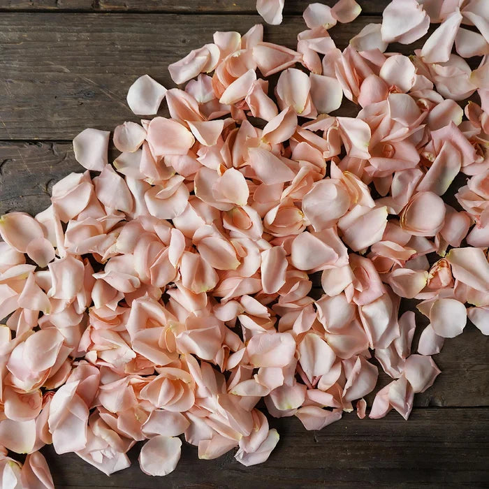 Salmon Rose Petals for sale