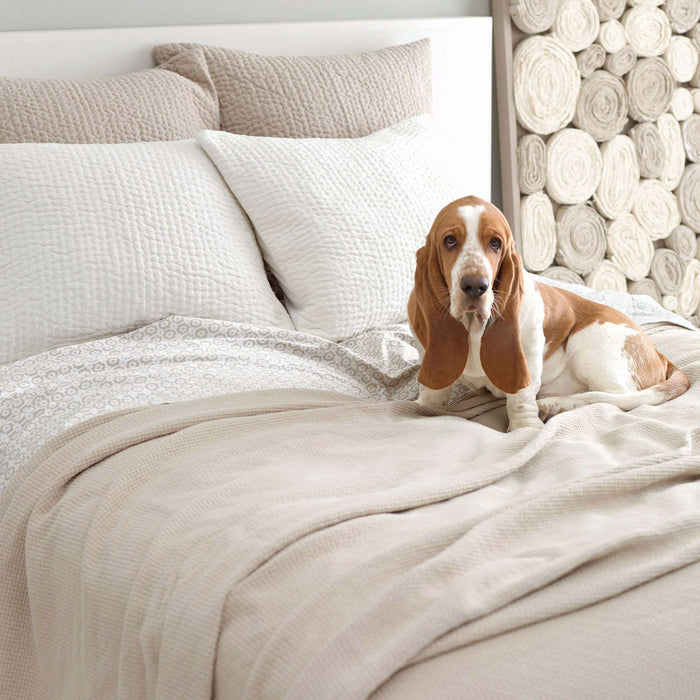 Seychelles Quilted Sham Sham By Annie Selke