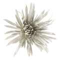 Silver Snowflake Airbrushed Spider Mum Flowers