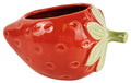 STRAWBERRY PLANTER POT