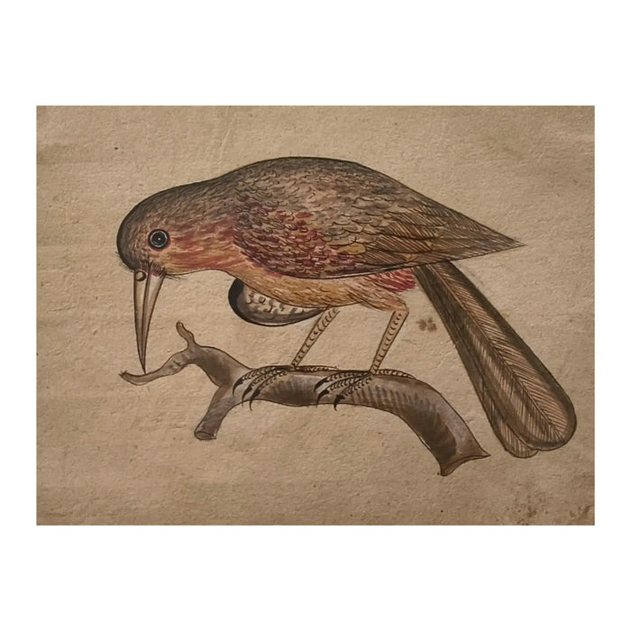Traditional Indian Bird Miniature Painting   Paintings
