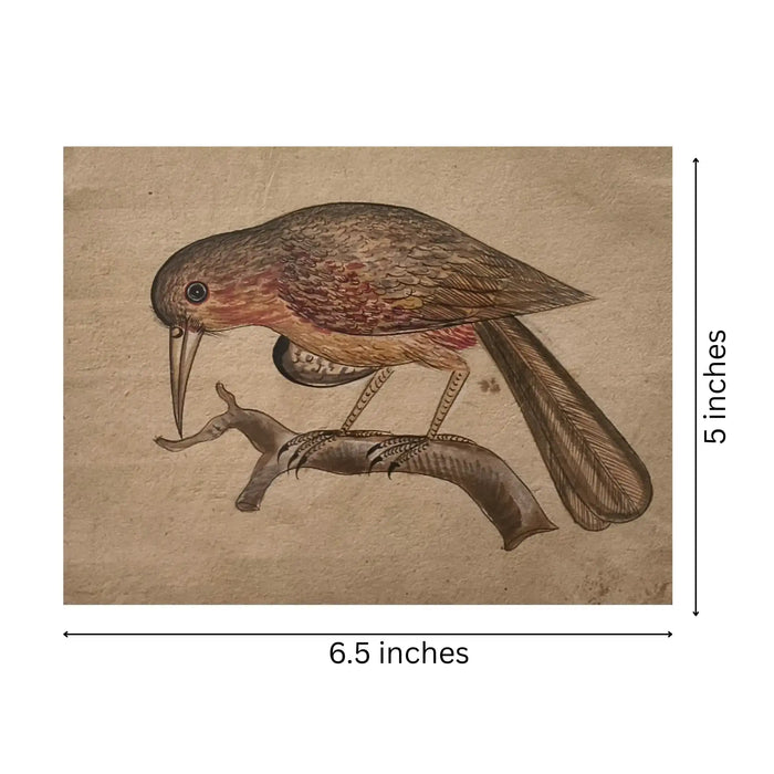 Traditional Indian Bird Miniature Painting   Paintings
