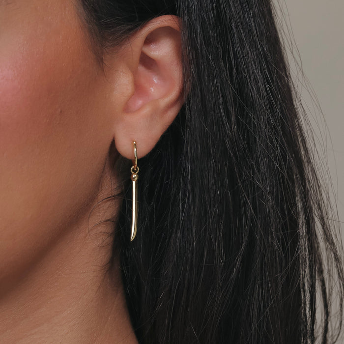 Zoro's Earring
